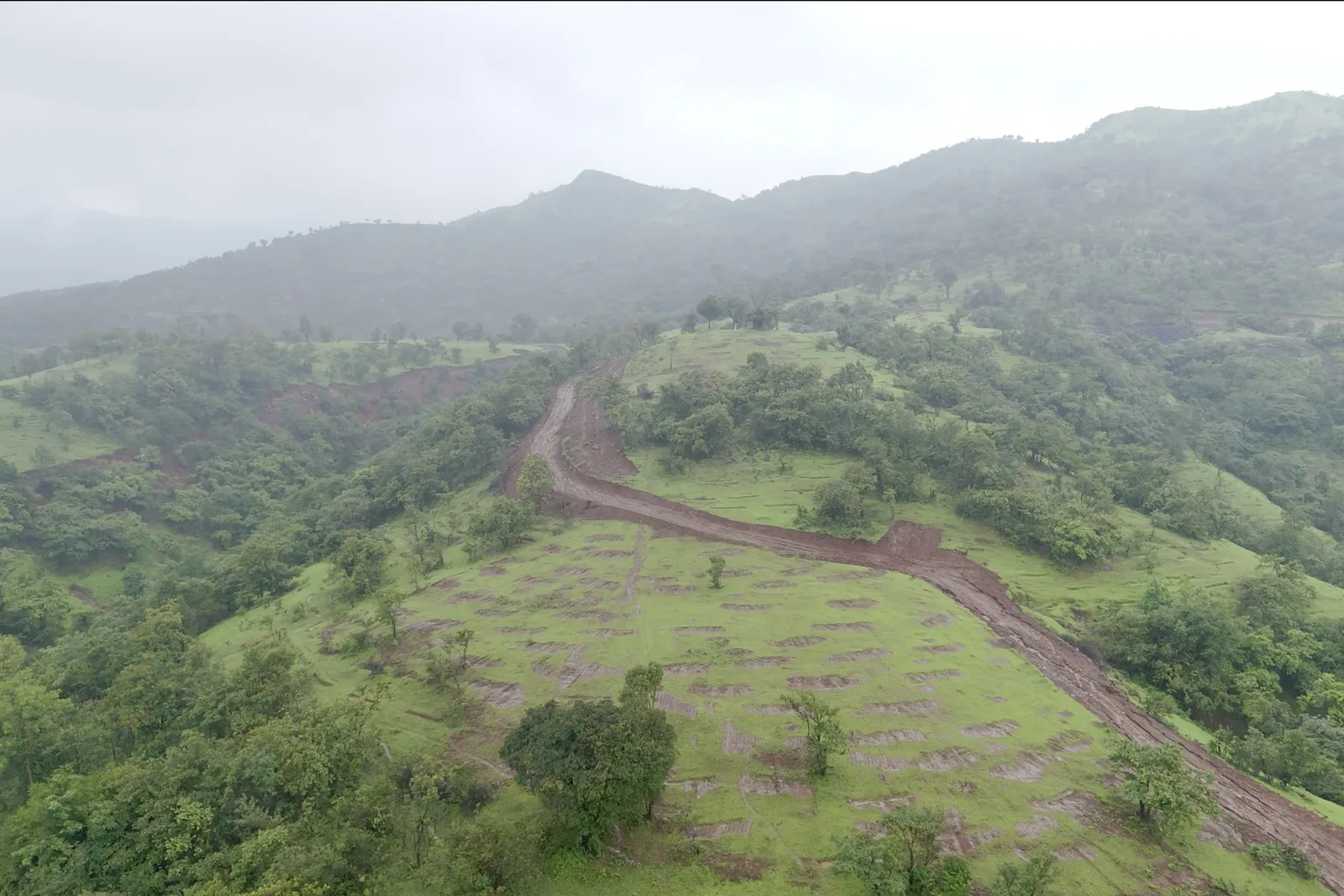 A cleared estate road curving through green hillside, seen from above.