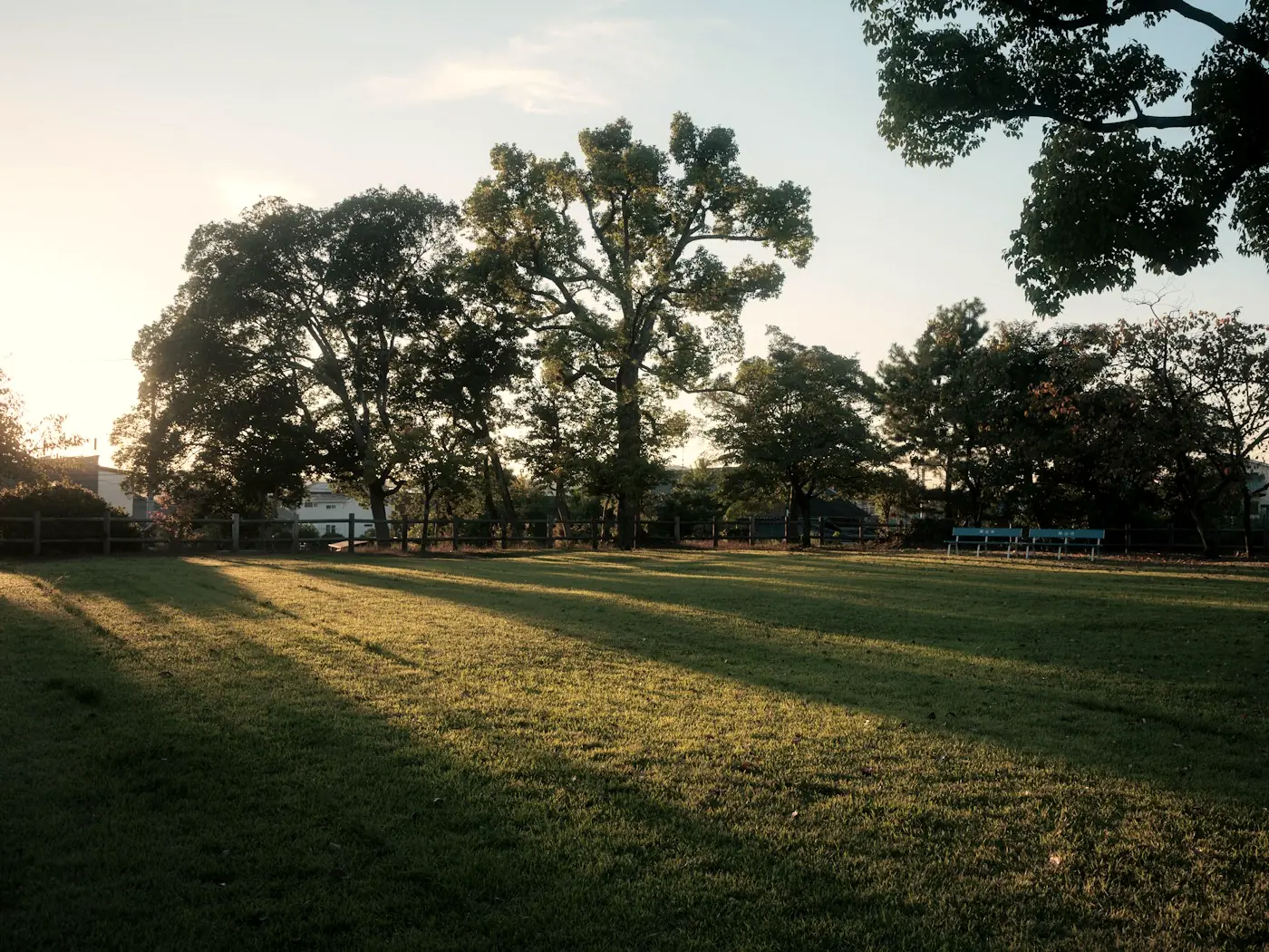 Open ground kept for cricket and football, late in the day.