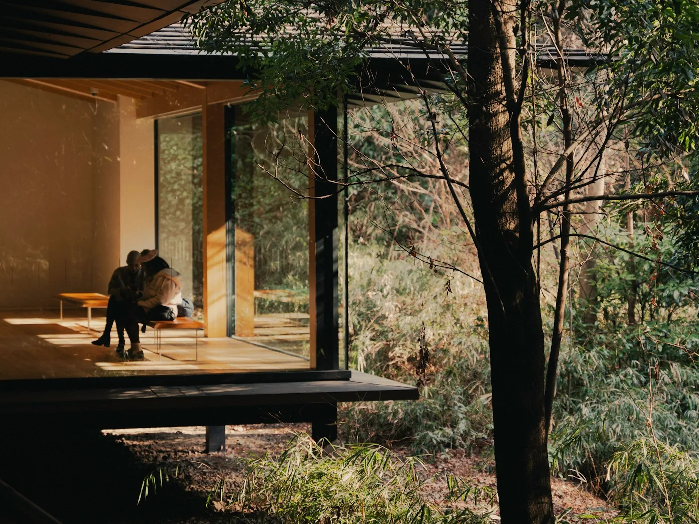 A house shaped by the standing canopy and the path of the sun.
